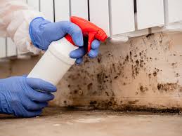 Asbestos and Lead Testing During Mold Inspection in Brenham, TX